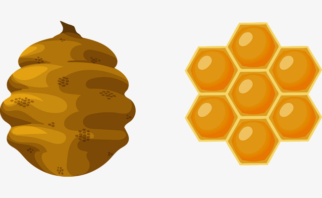 650x400 Vector Painted Beehive, Vector, Hand Painted, Honeycomb Png And