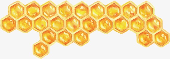 569x199 Vector Painted Beehive, Vector, Realism, Hand Painted Png And