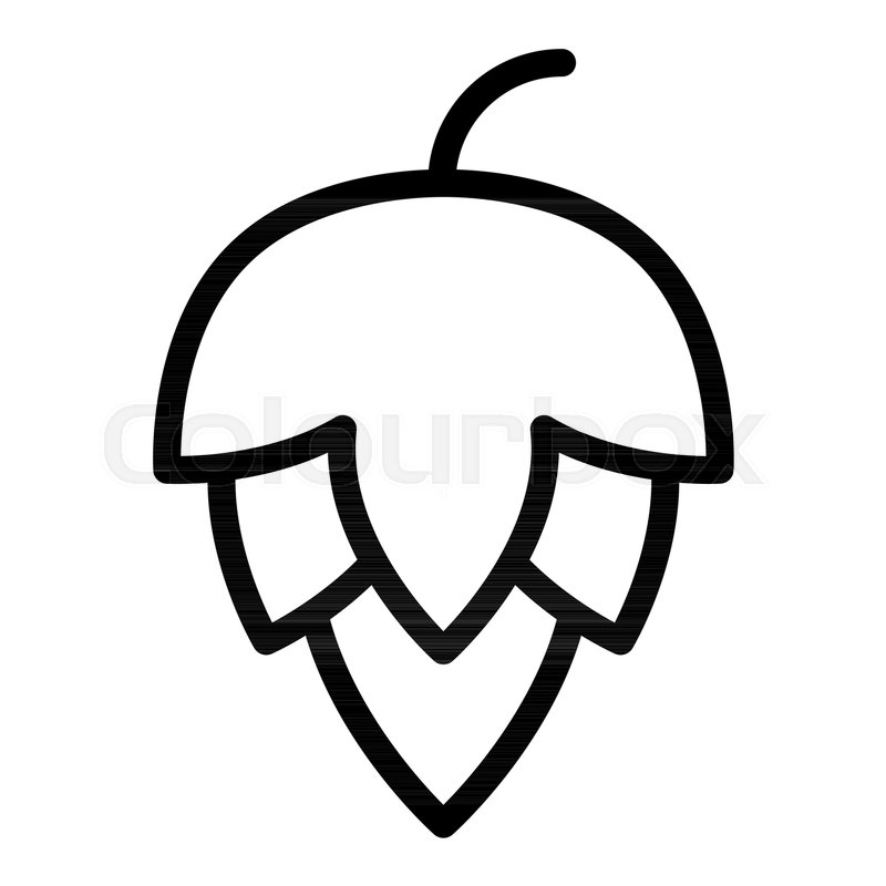 800x800 Hop Cone Line Icon. Beer Hop Vector Illustration Isolated On White