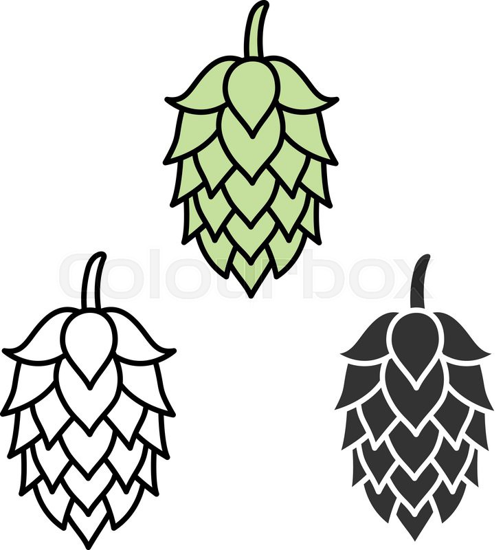 732x800 Hop Craft Beer Sign Symbol Label Element Stock Vector Colourbox