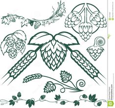 235x221 29 Best Hops Images Drawings, Beer Hops And Beer Labels
