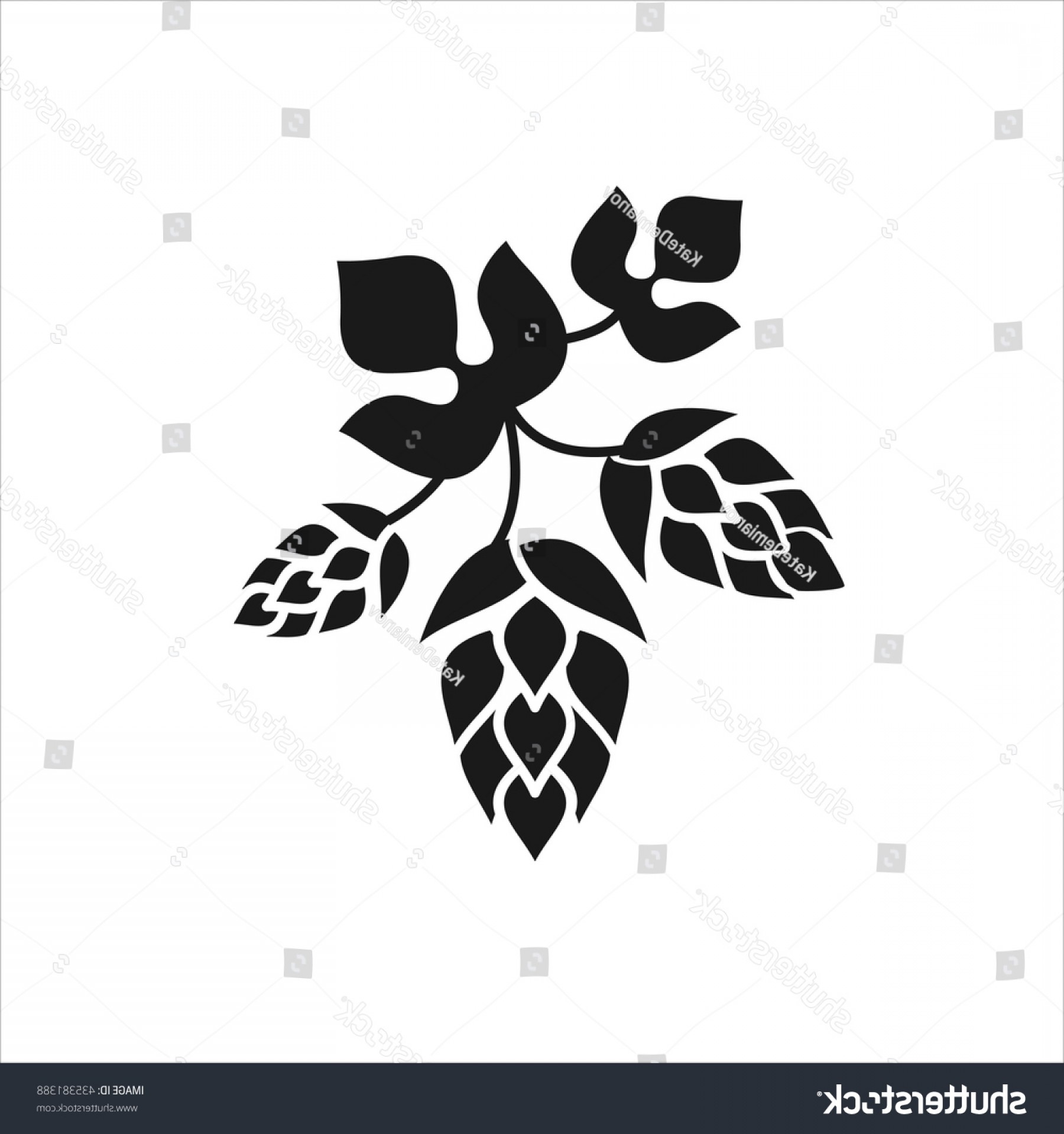 1800x1920 Beer Hops Vector Createmepink