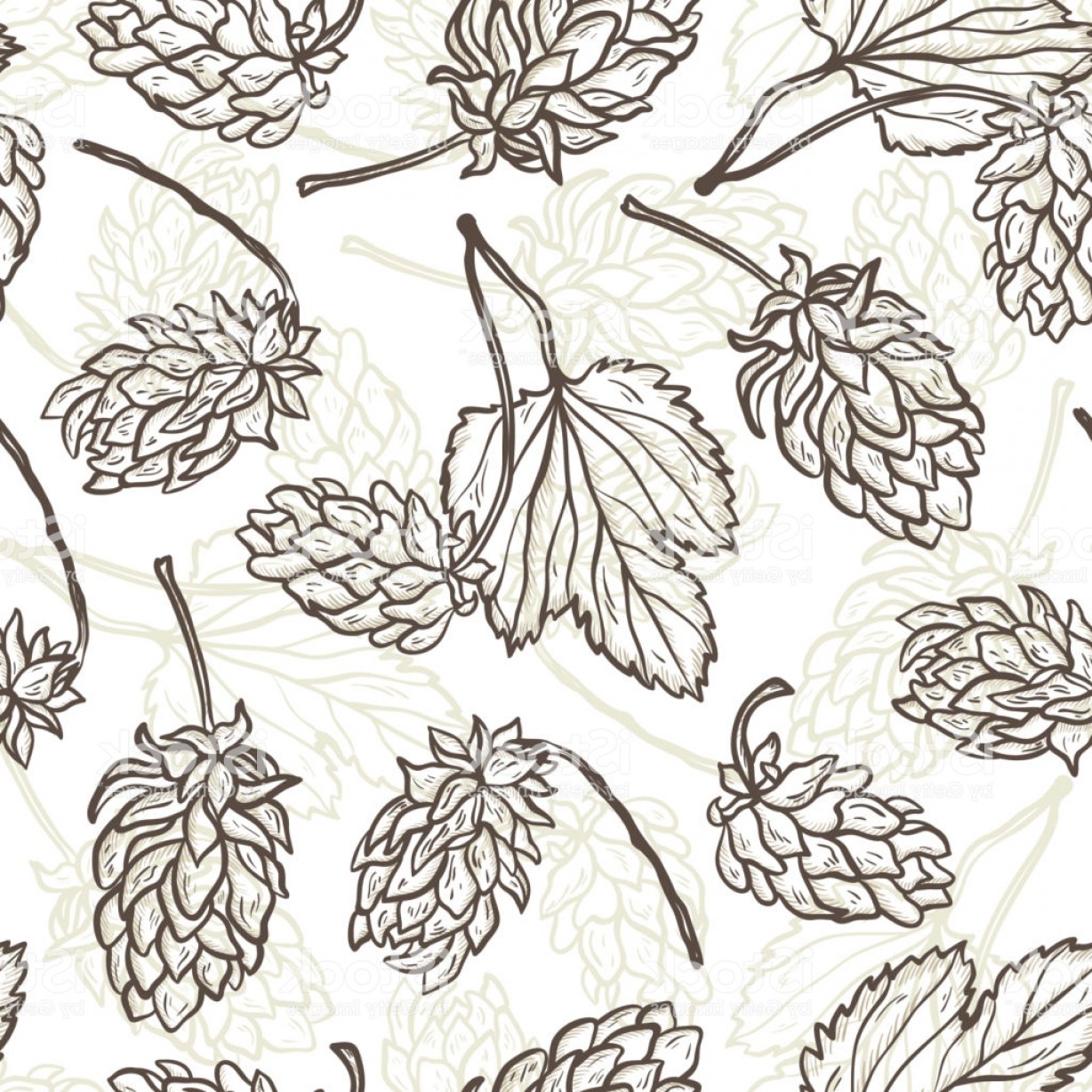 1228x1228 Beer Hops Vector Seamless Pattern Common Hop Or Humulus Lupulus