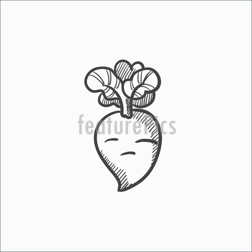 500x500 Illustration Of Beet Sketch Icon.