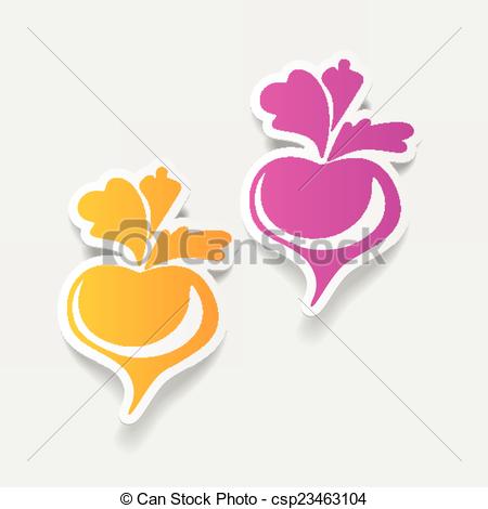 450x470 Realistic Design Element Beet Vector Clipart