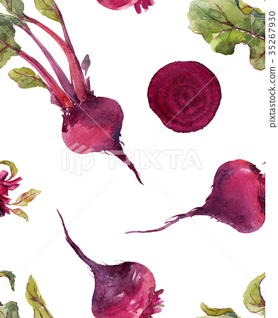 393x450 Watercolor Beet Vector Pattern