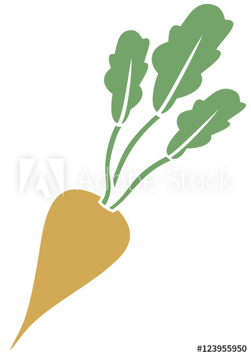 353x500 Sugar Beet Vector Icon