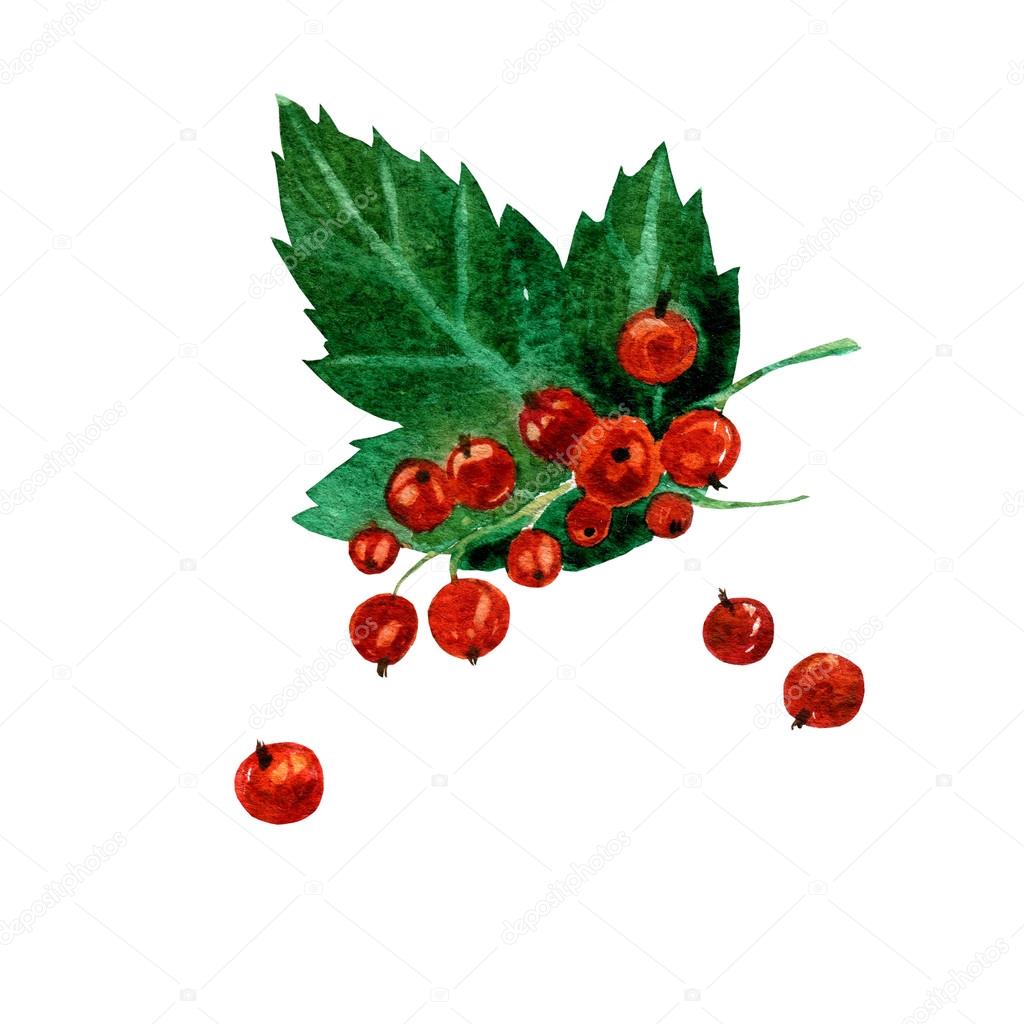 1024x1024 Drawn Berry Vector