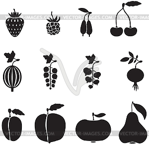 300x292 Fruits And Berries