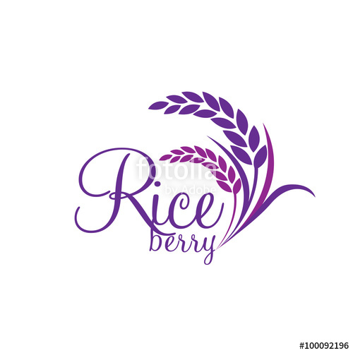 500x500 Rice Berry Vector Stock Image And Royalty Free Vector Files On