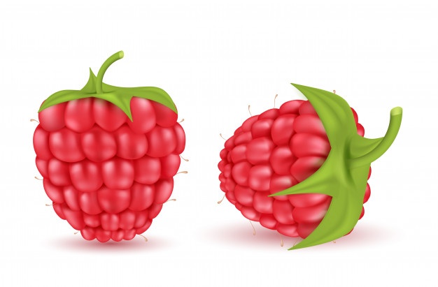 626x411 Berry Vectors, Photos And Psd Files Free Download