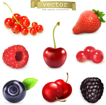 370x368 Berry Free Vector Download (300 Free Vector) For Commercial Use