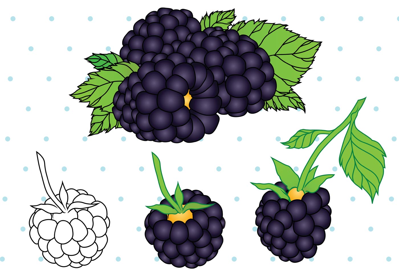 1400x980 Blueberries Free Vector Art