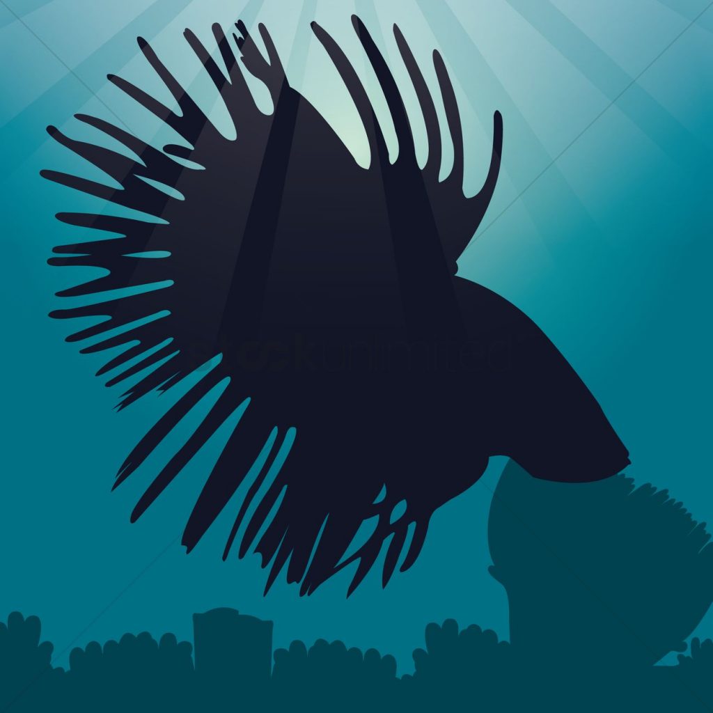 1024x1024 Gorgeous Inspiration Betta Fish Silhouette Vector Image 1528635