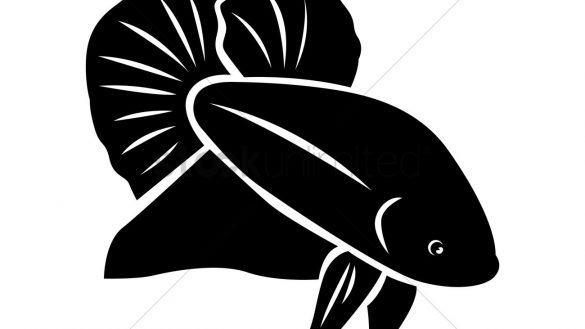 585x329 Nobby Design Betta Fish Silhouette Coloring