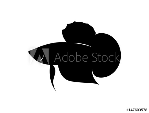 500x380 Graphic Silhouette Betta Fish, Vector