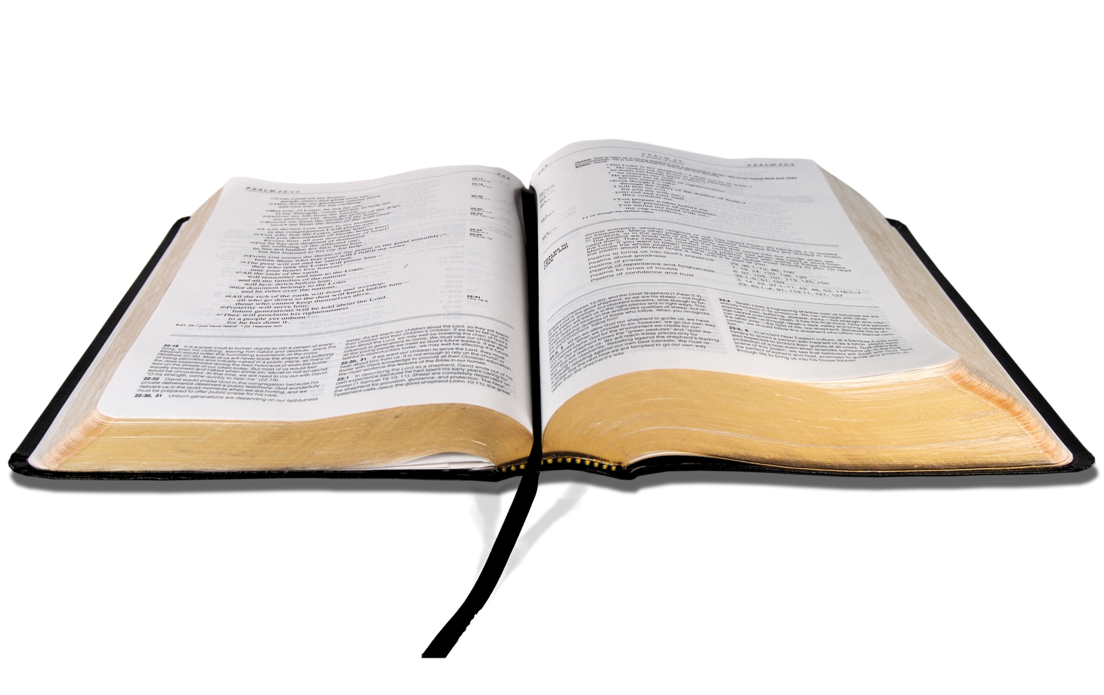 1600x1008 Use These Bible Vector Clipart