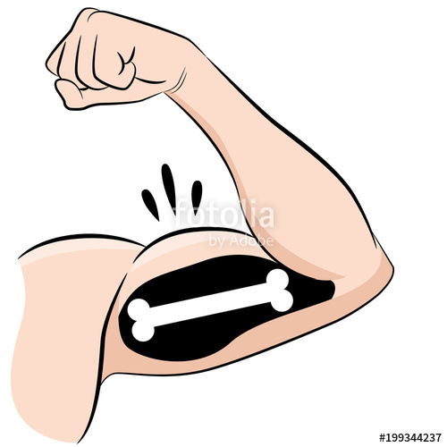 500x500 Strong Muscles Bones Male Arm Flexing Bicep Stock Image And