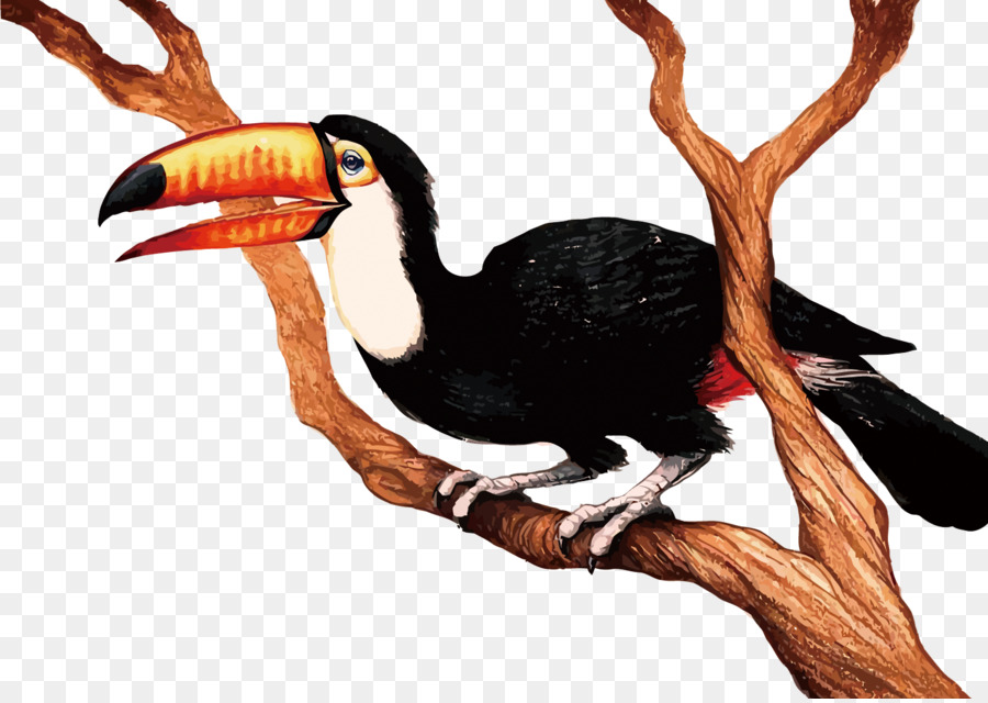 900x640 Bird Cartoon Clip Art