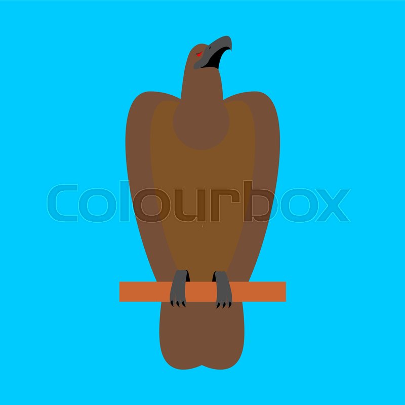 800x800 Hawk Isolated. Golden Eagle On Blue Background. Big Strong Bird