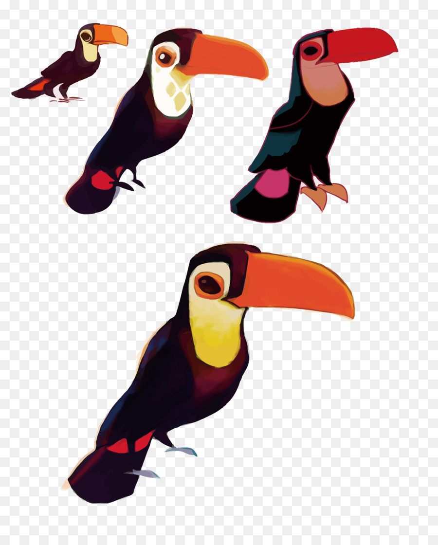 900x1120 Toucan Download