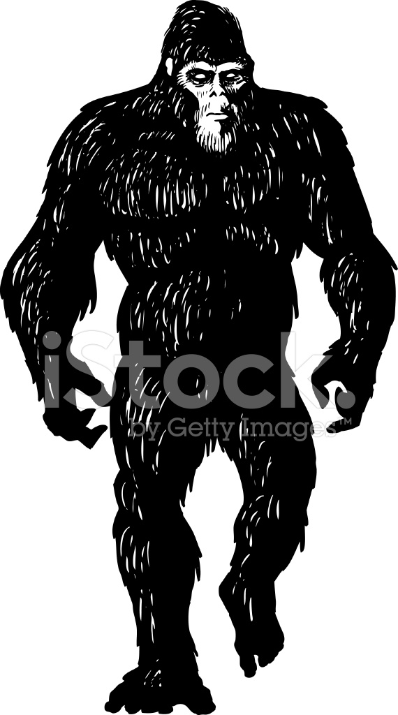 570x1024 Bigfoot Sketch Stock Vector