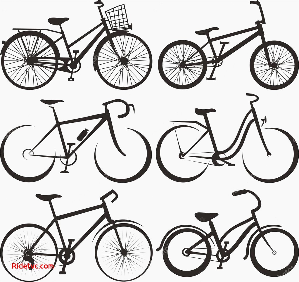 1023x965 Bike Lane Vector Free Best Of Road Bike Stock Vectors Royalty Free