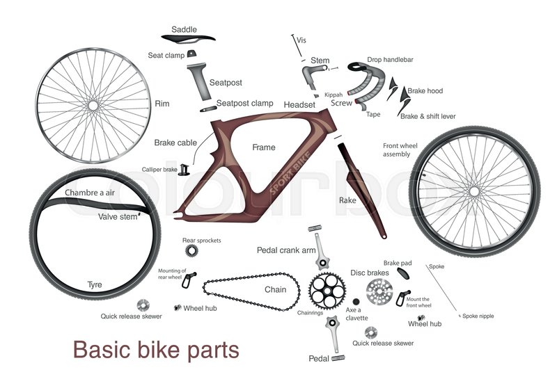 800x545 Infographic Of The Main Bike Parts With The Names Stock Vector