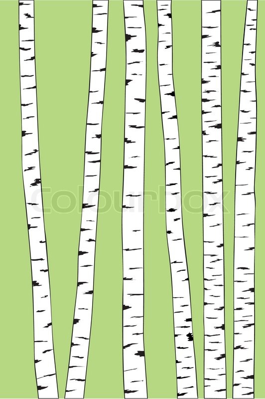 532x800 Birch Trunk Trees Background. Vector Illustration Stock Vector
