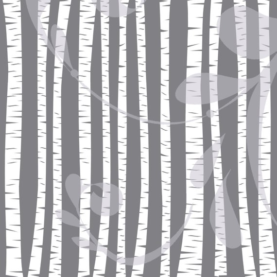 570x570 Clipart Forest Birch Tree