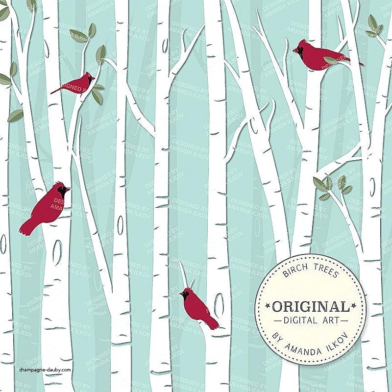 800x800 Curtains White Shower Curtain With Black Border New Premium Birch