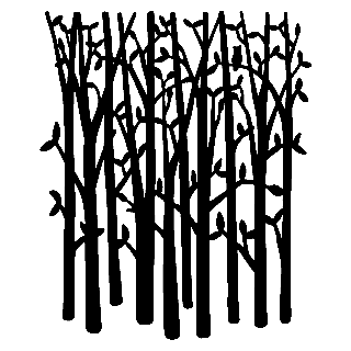 320x320 Birch Tree Clipart
