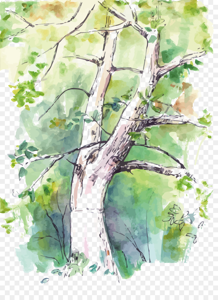 900x1240 Watercolor Painting Birch Twig Tree