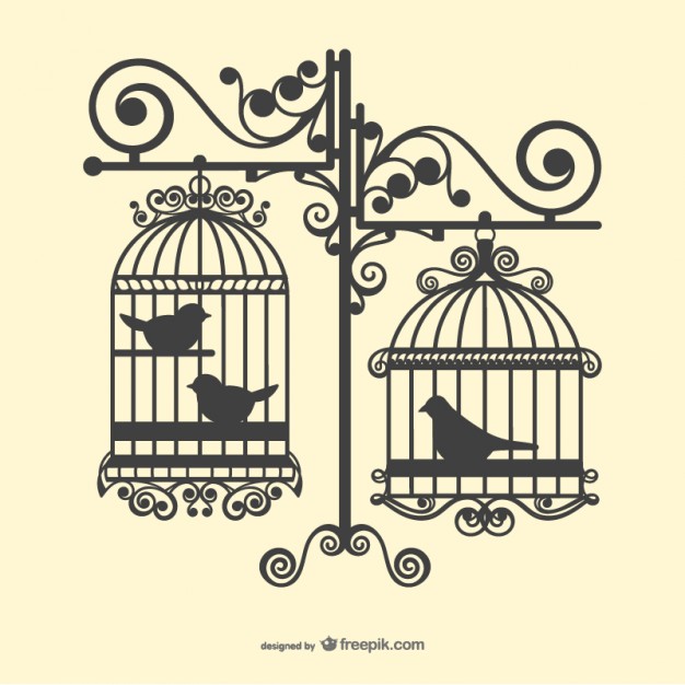 626x626 Birdcage Vectors, Photos And Psd Files Free Download