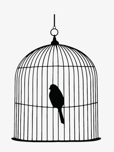 400x533 Black Birdcage Vector, Free, Fly, Birds Png And Psd File For Free