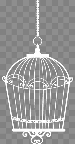 260x496 Bird Cage Png, Vectors, Psd, And Clipart For Free Download Pngtree