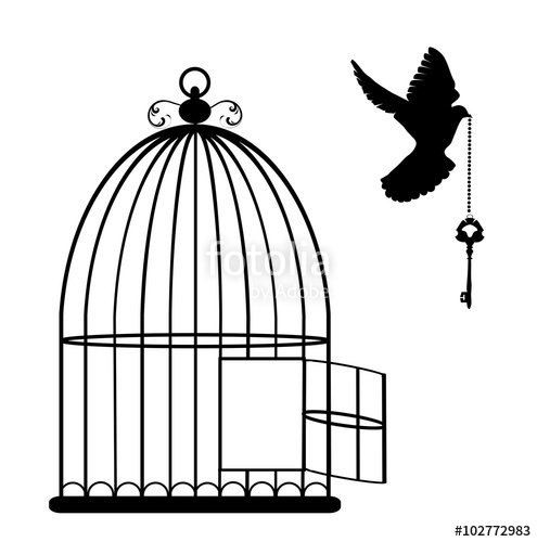 495x500 Bird Cage Vector Stock Image And Royalty Free Vector Files On