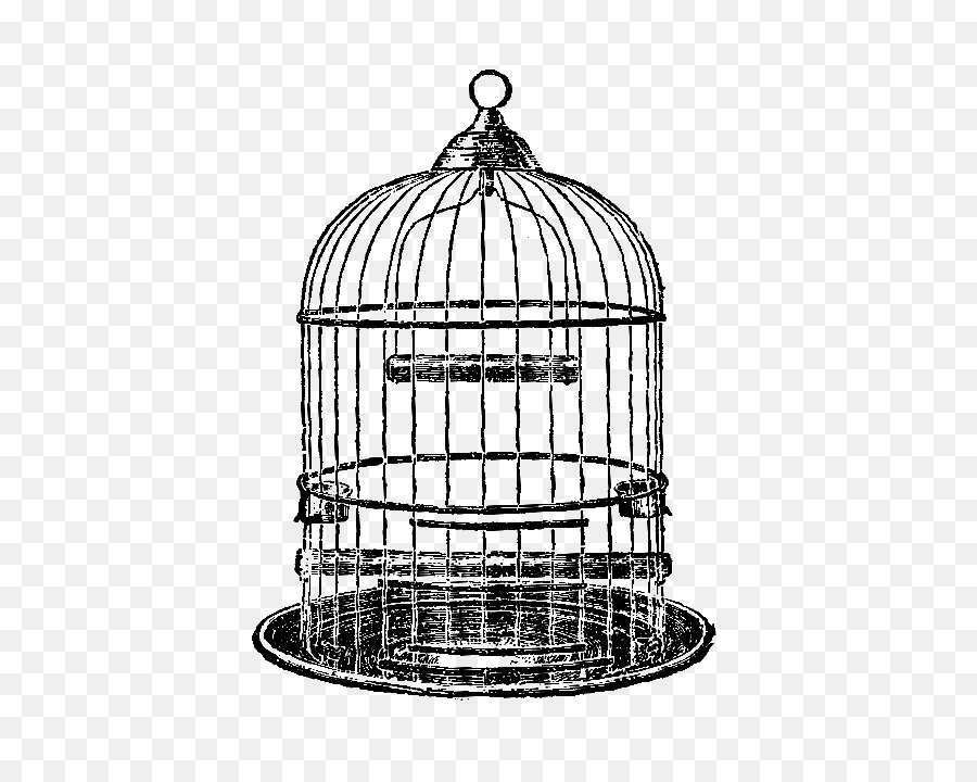 900x720 Birdcage Parrot Clip Art