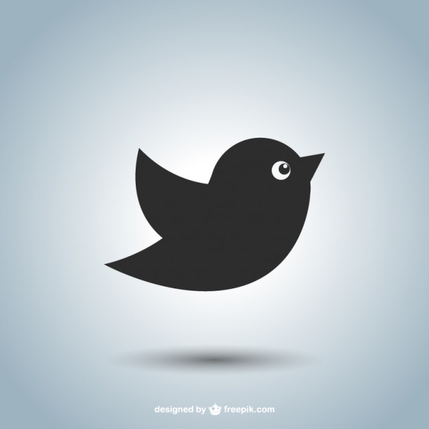 626x626 Bird Icon Vector Free Download