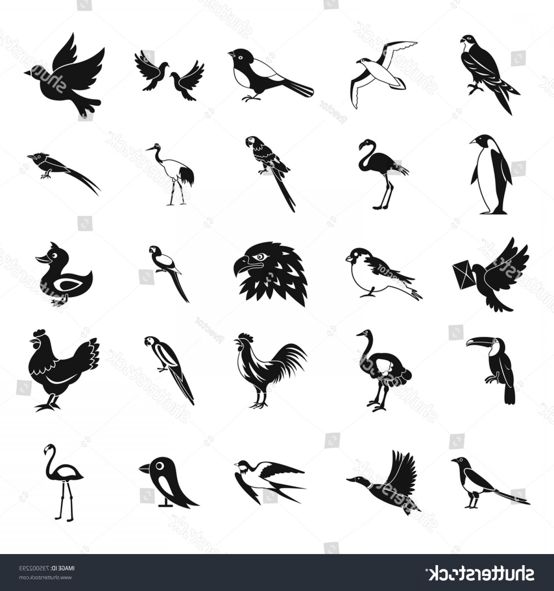 Simple bird. Птица иконка. Иконка птицы орнитология. Селекция птицы пиктограмма.