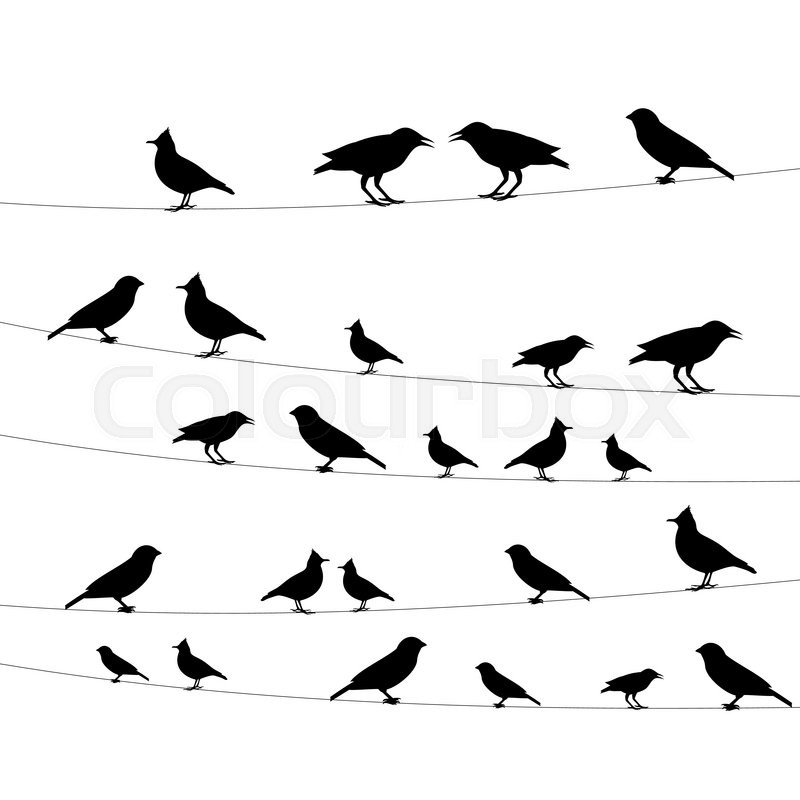 800x800 Birds On A Wire Icon,vector Illustration Stock Vector Colourbox