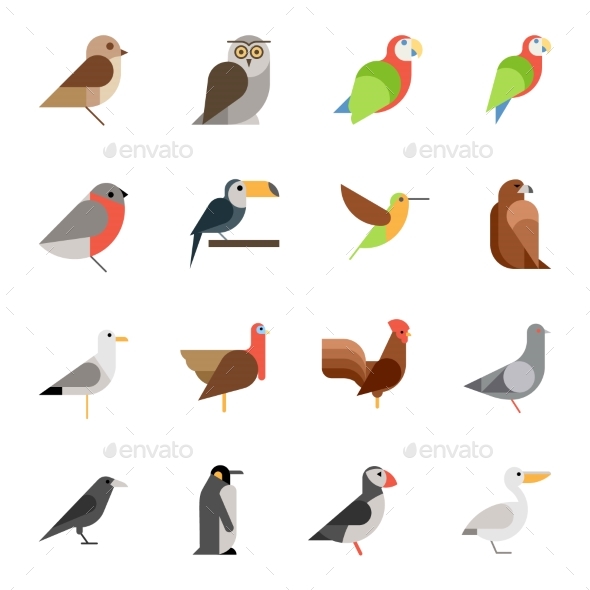 590x590 Flat Design Vector Birds Icon Set By Kuroksta Graphicriver