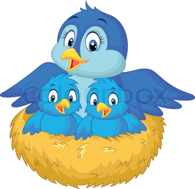 800x778 Highest Bird Nest Cartoon Vector Illustration Of Mother