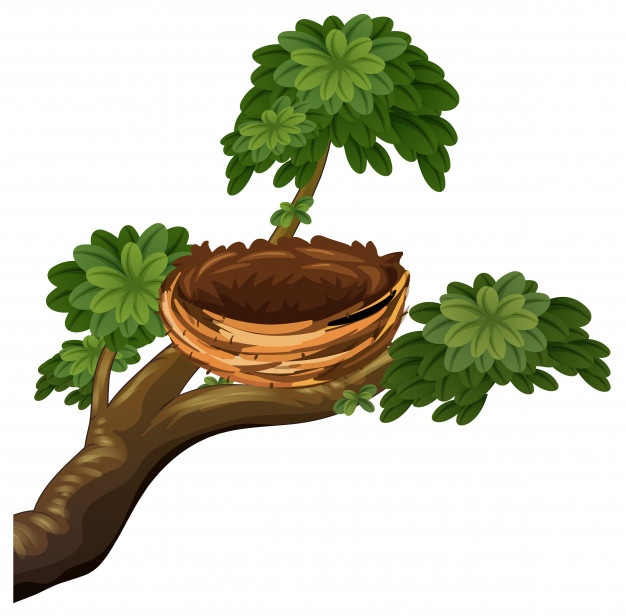 626x616 Nest Vectors, Photos And Psd Files Free Download