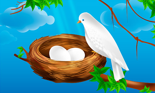 500x300 Premium Tutorial Vector Bird Nest