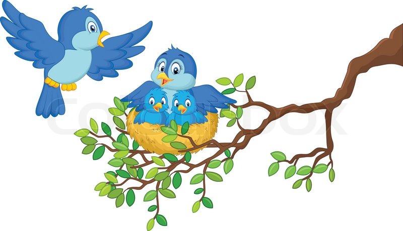 800x460 Vector Illustration Of Birds With Her Two Babies In The Nest