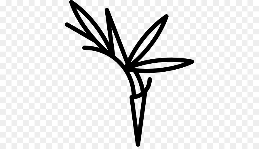 900x520 Bird Of Paradise Flower Clip Art