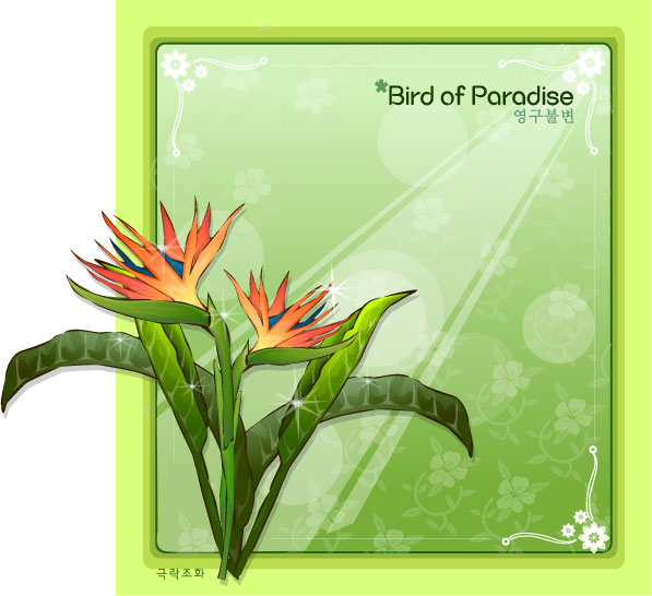 597x546 Bird Of Paradise Flower Frame Vector Free Download