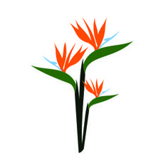 236x236 Bird Of Paradise Vector 1544132