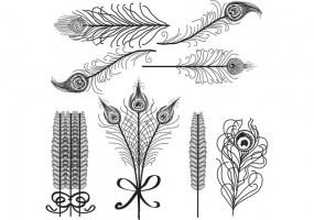 285x200 Bird Paradise Free Vector Graphic Art Free Download (Found 4,169